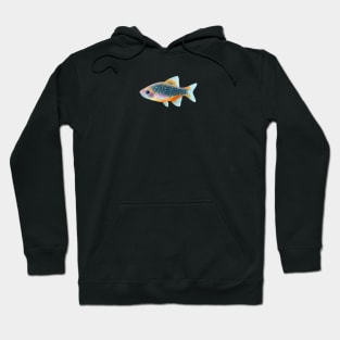 Celestial Pearl Danio Fish Hoodie